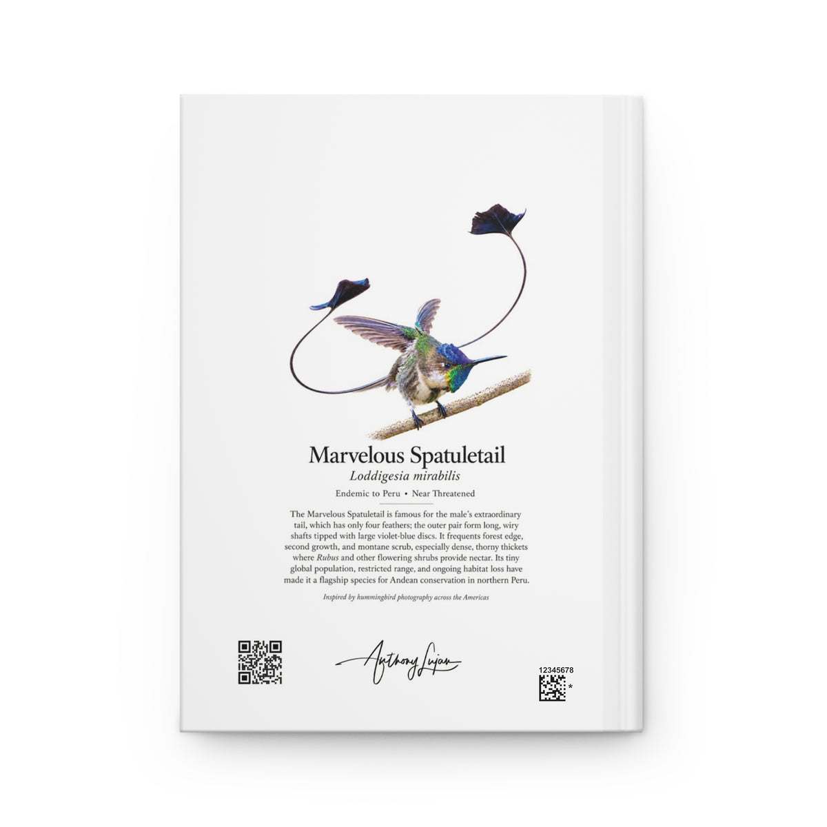 Marvelous Spatuletail Hardcover Journal