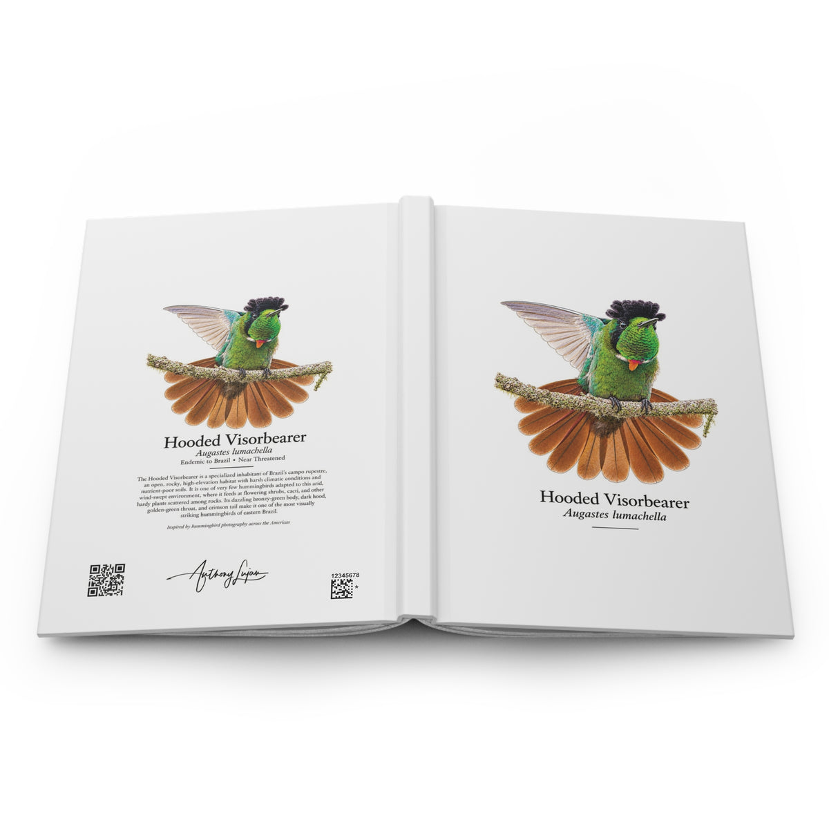 Hooded Visorbearer Hardcover Journal