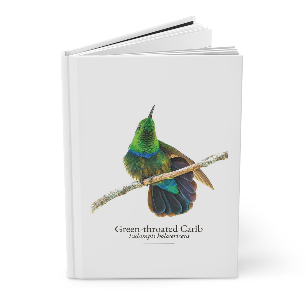 Green-throated Carib Hardcover Journal