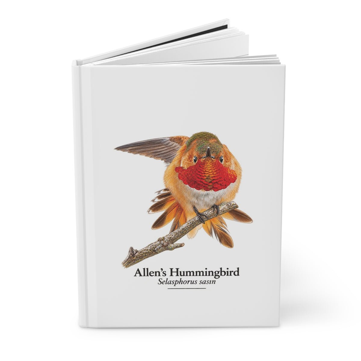Allen's Hummingbird Hardcover Journal