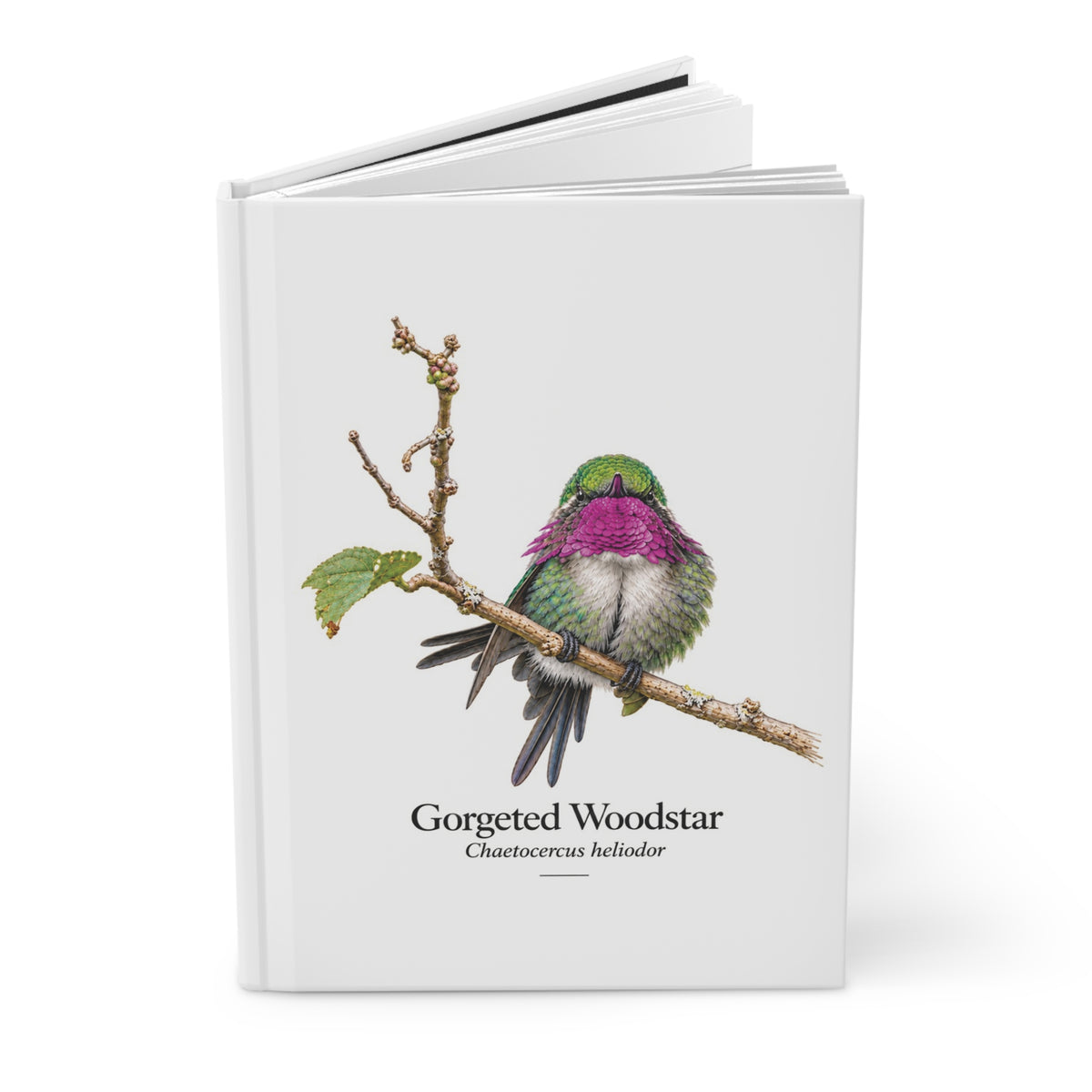 Gorgeted Woodstar Hardcover Journal