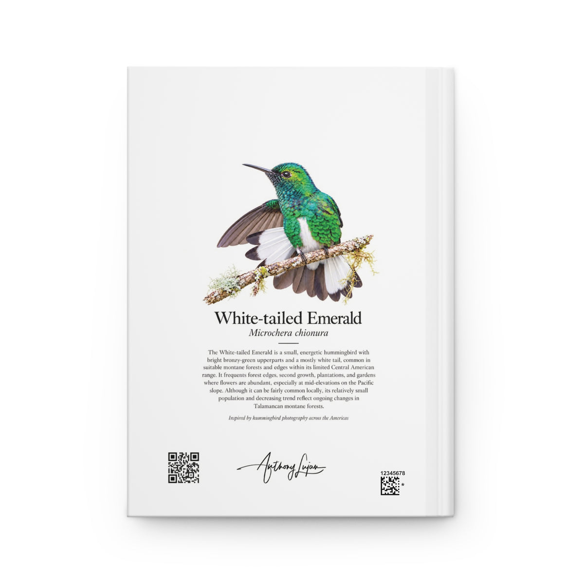 White-tailed Emerald Hardcover Journal