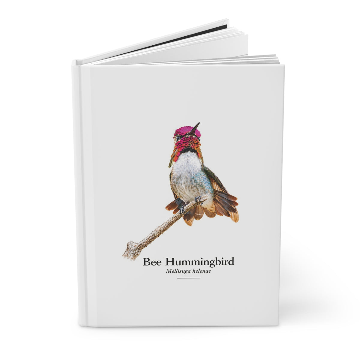 Bee Hummingbird Hardcover Journal
