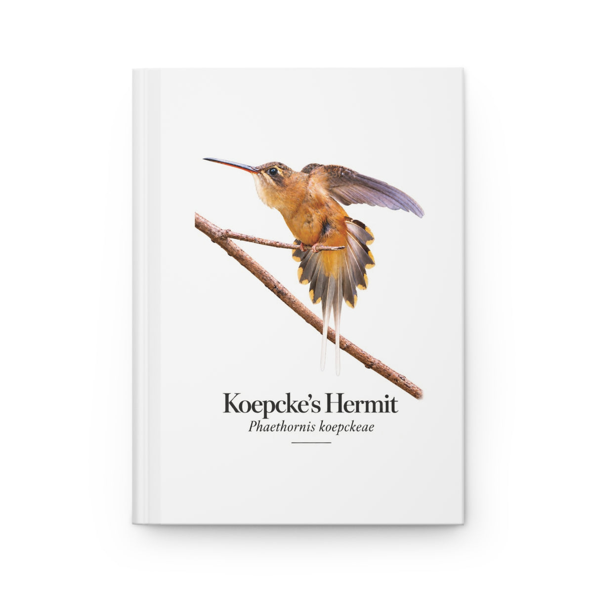 Koepcke’s Hermit Hardcover Journal