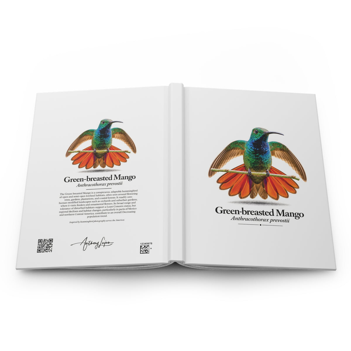 Green-breasted Mango Hardcover Journal