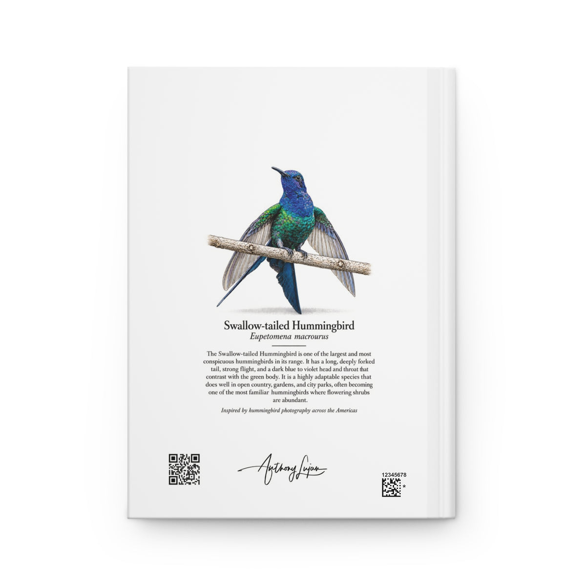Swallow-tailed Hummingbird Hardcover Journal