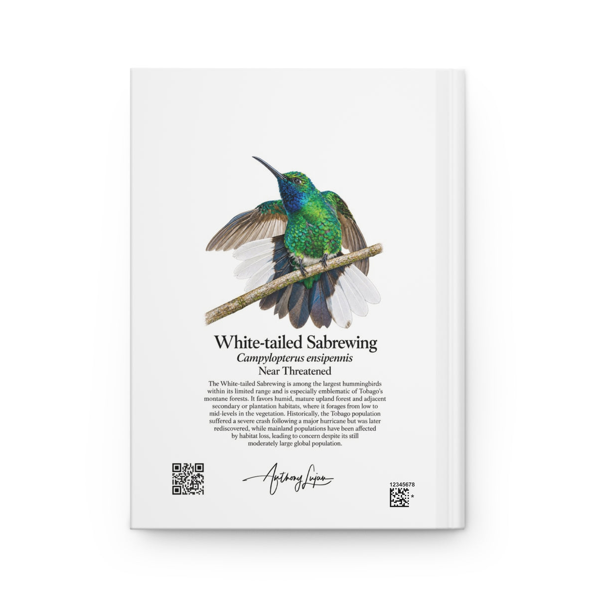 White-tailed Sabrewing Hardcover Journal