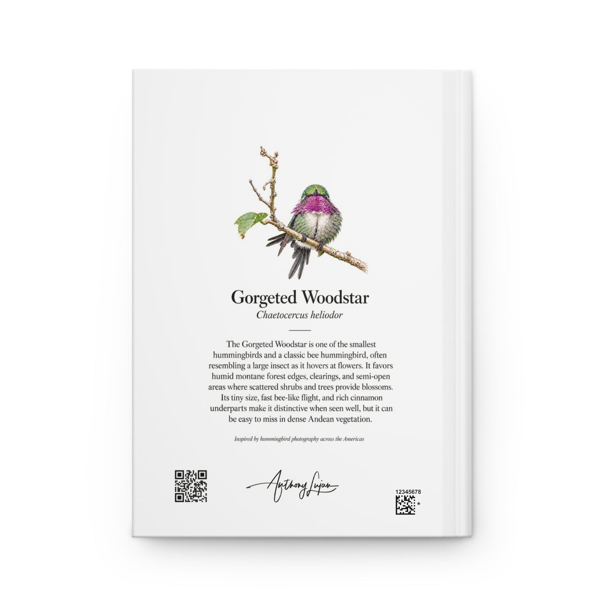 Gorgeted Woodstar Hardcover Journal
