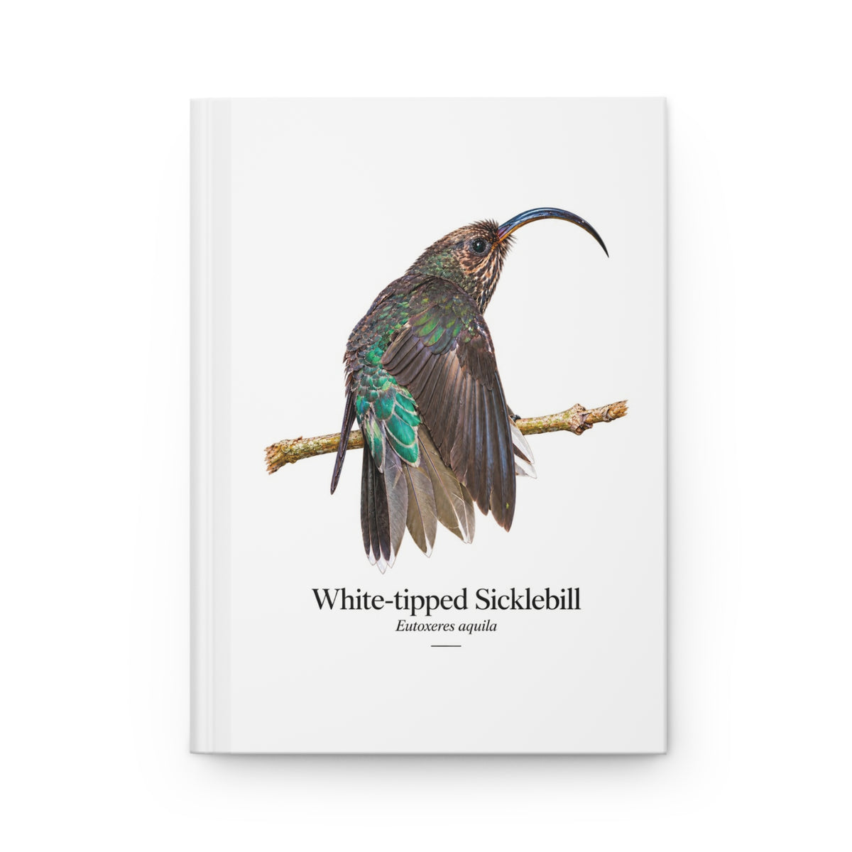 White-tipped Sicklebill Hardcover Journal