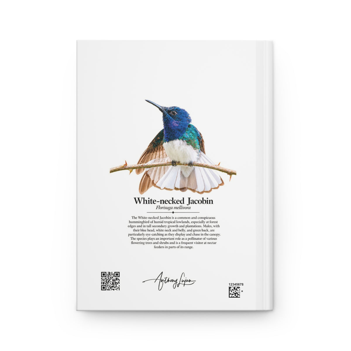 White-necked Jacobin Hardcover Journal