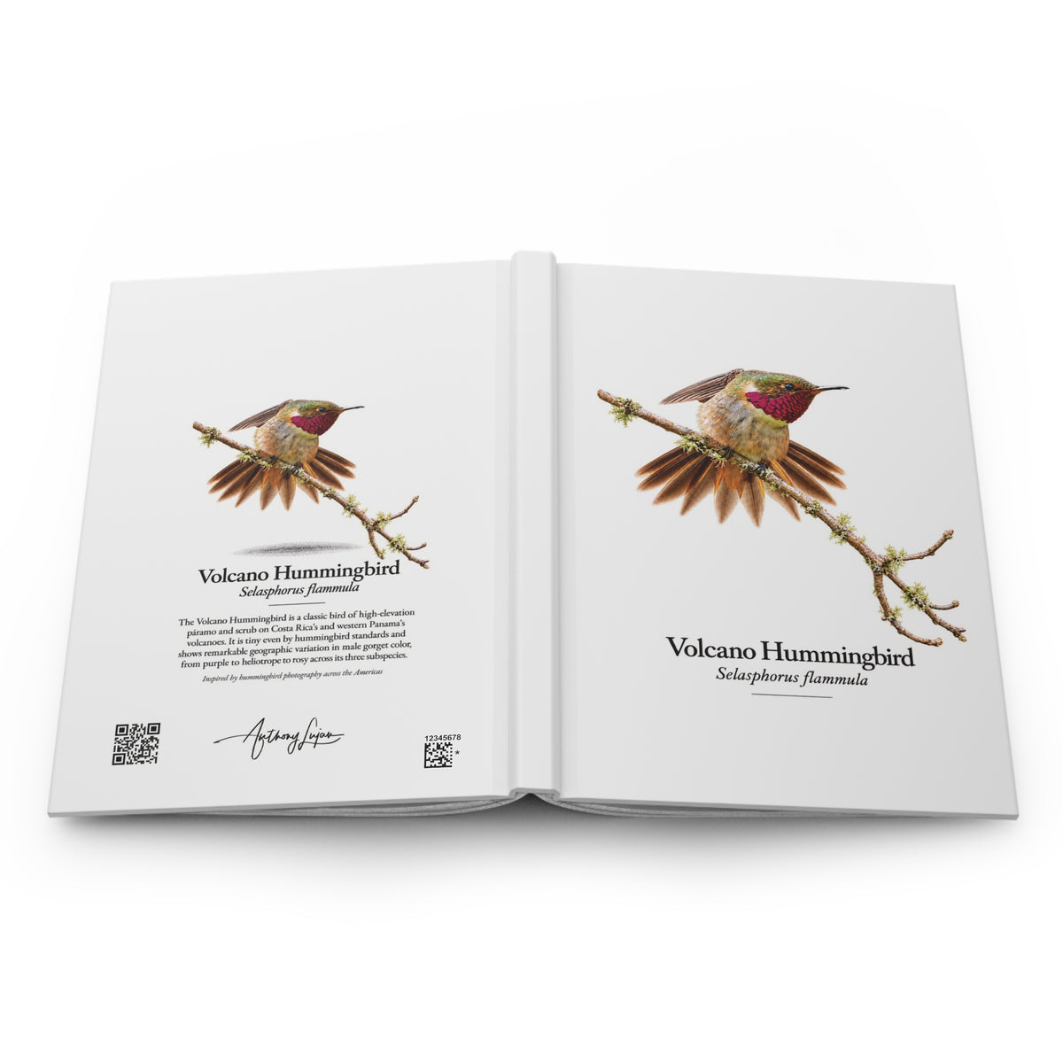 Volcano Hummingbird Hardcover Journal