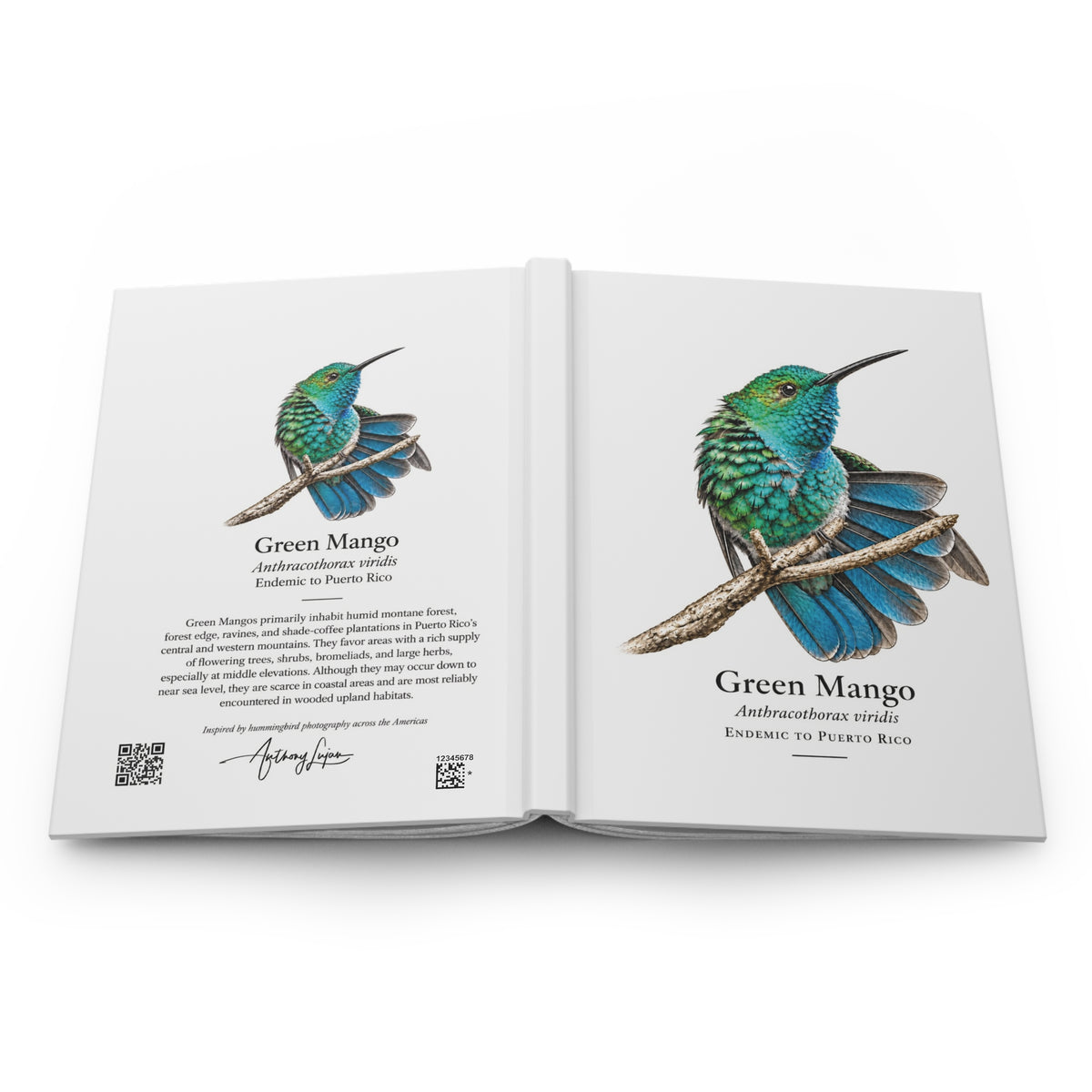 Green Mango Hardcover Journal