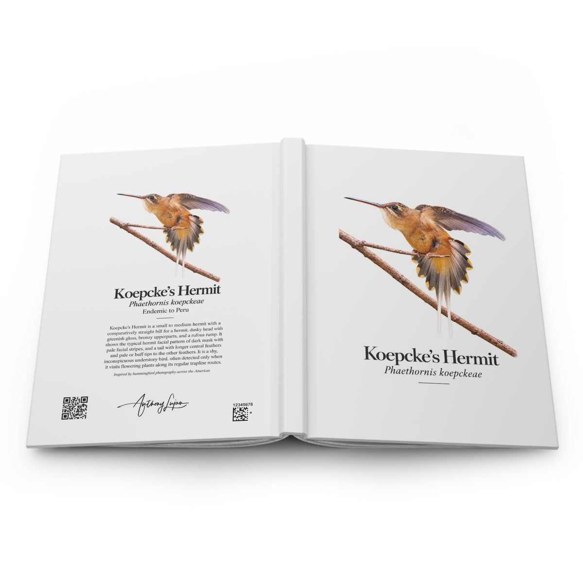 Koepcke’s Hermit Hardcover Journal