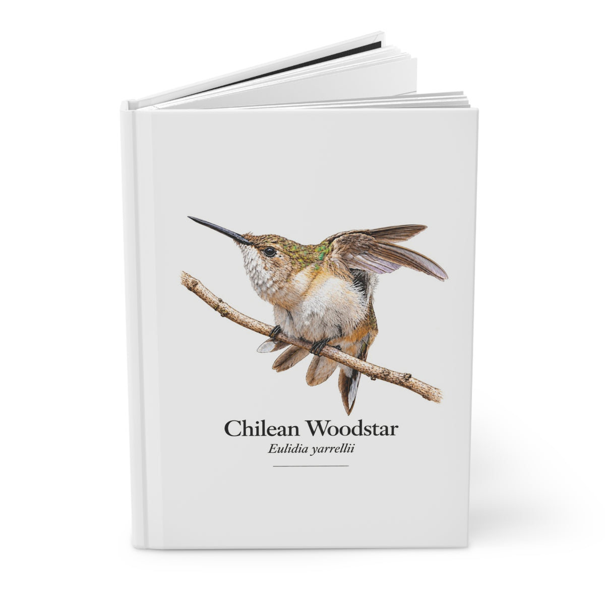 Chilean Woodstar female Hardcover Journal