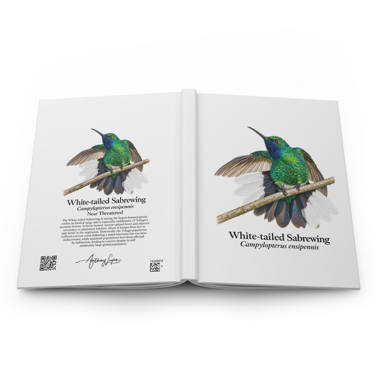 White-tailed Sabrewing Hardcover Journal