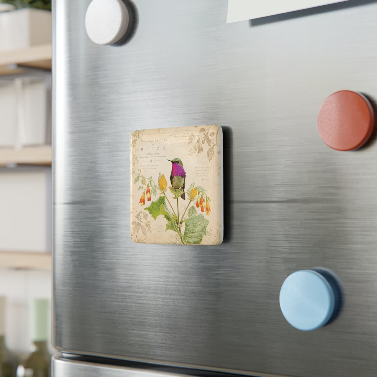 Wine-throated Hummingbird Porcelain Tile Magnet