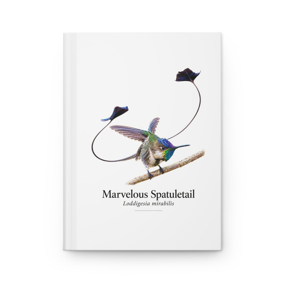 Marvelous Spatuletail Hardcover Journal