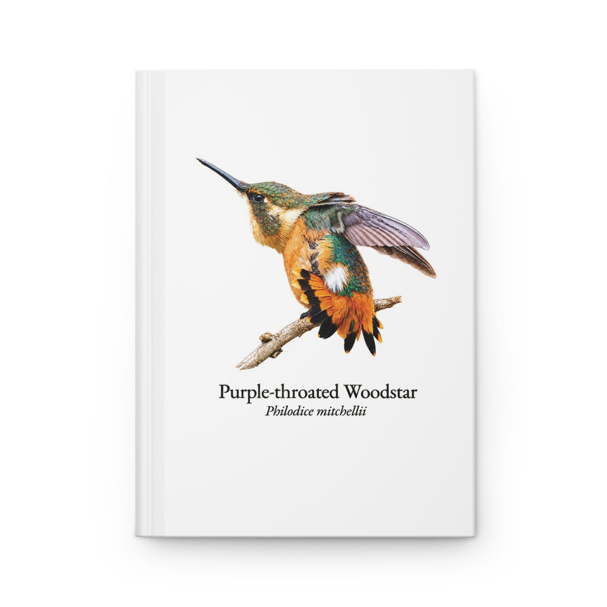 Purple-throated Woodstar female Hardcover Journal