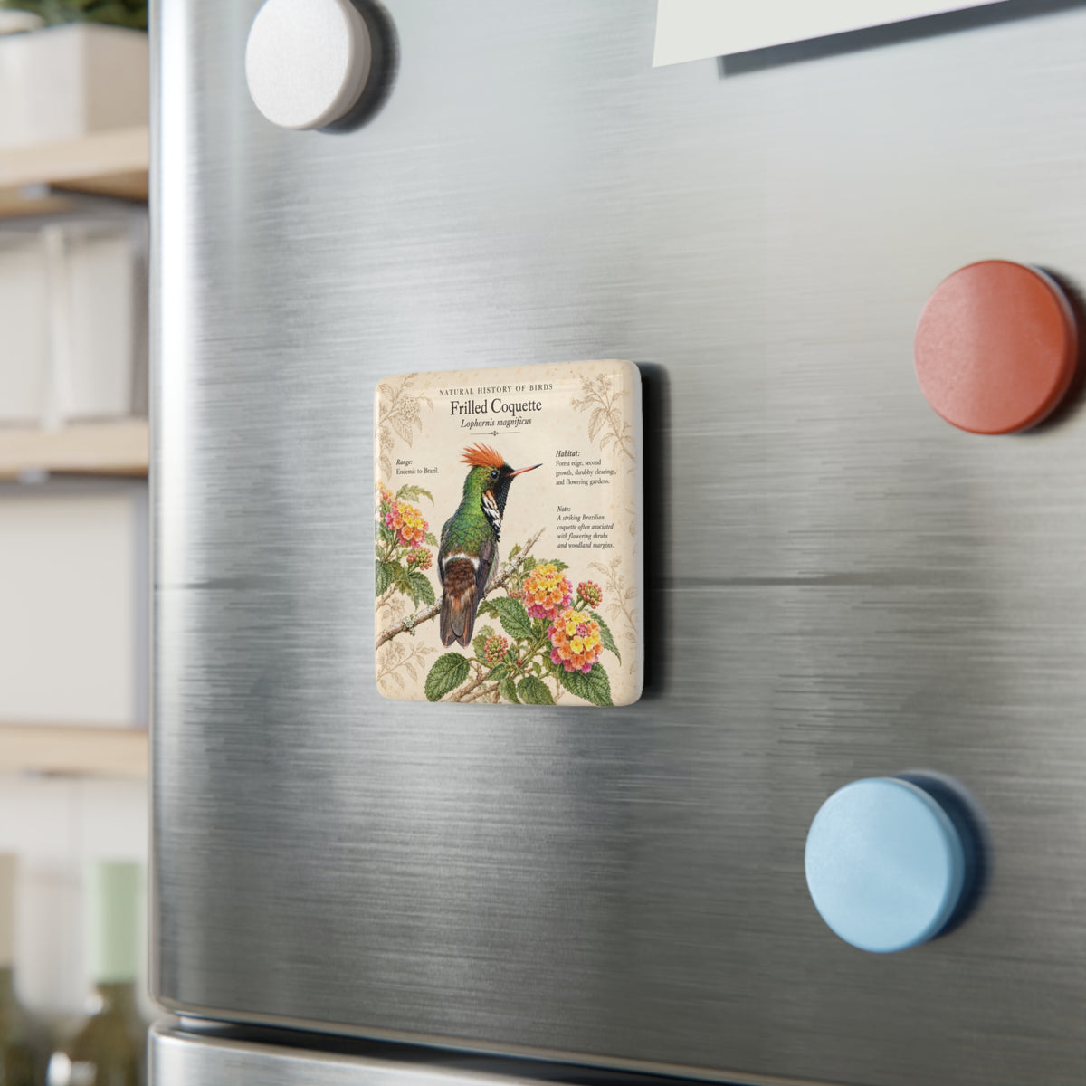 Frilled Coquette Porcelain Magnet