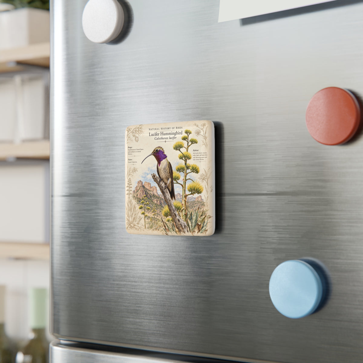 Lucifer Hummingbird Porcelain Magnet