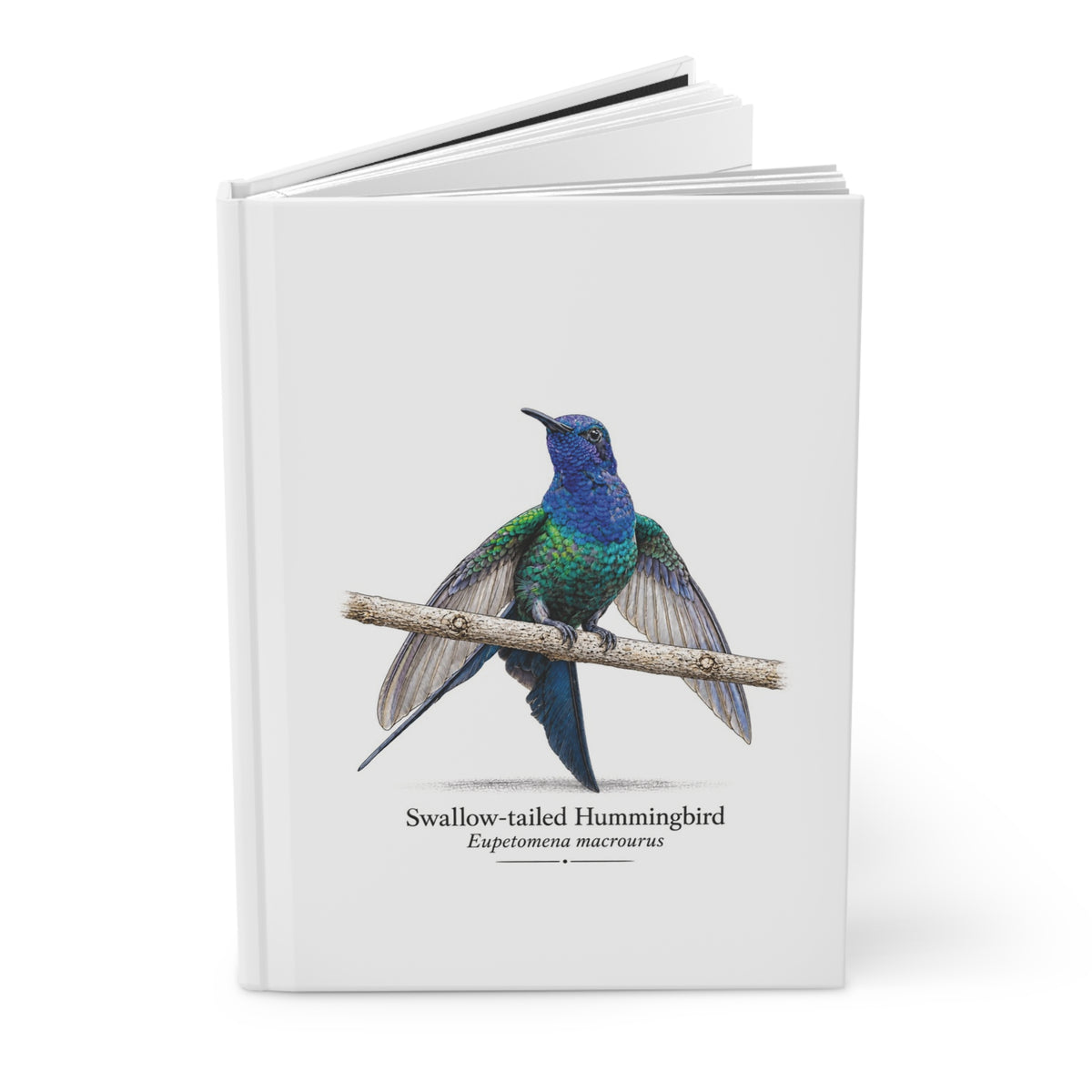 Swallow-tailed Hummingbird Hardcover Journal