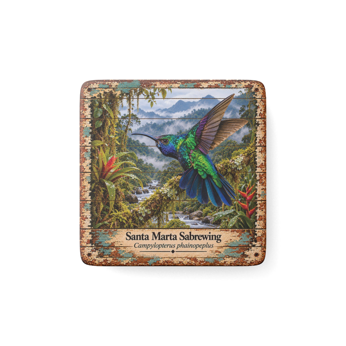 Santa Marta Sabrewing Porcelain Tile Magnet