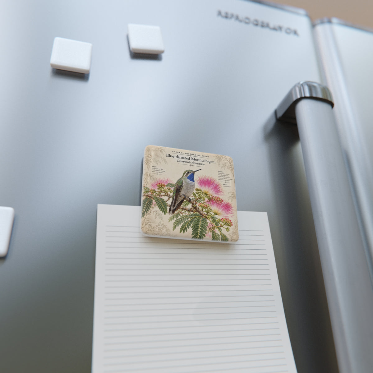 Blue-throated Mountain-gem Porcelain Magnet