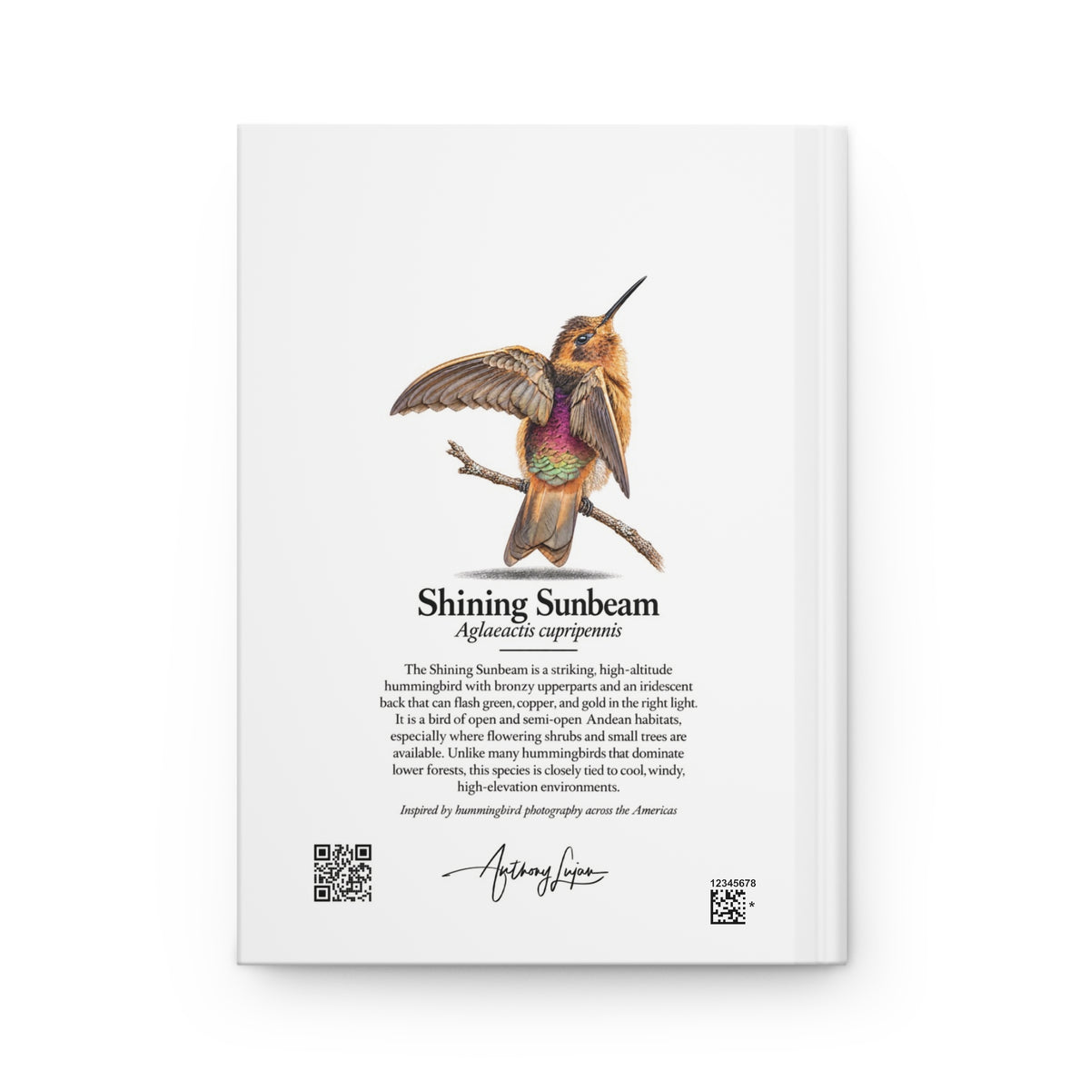 Shining Sunbeam Hardcover Journal