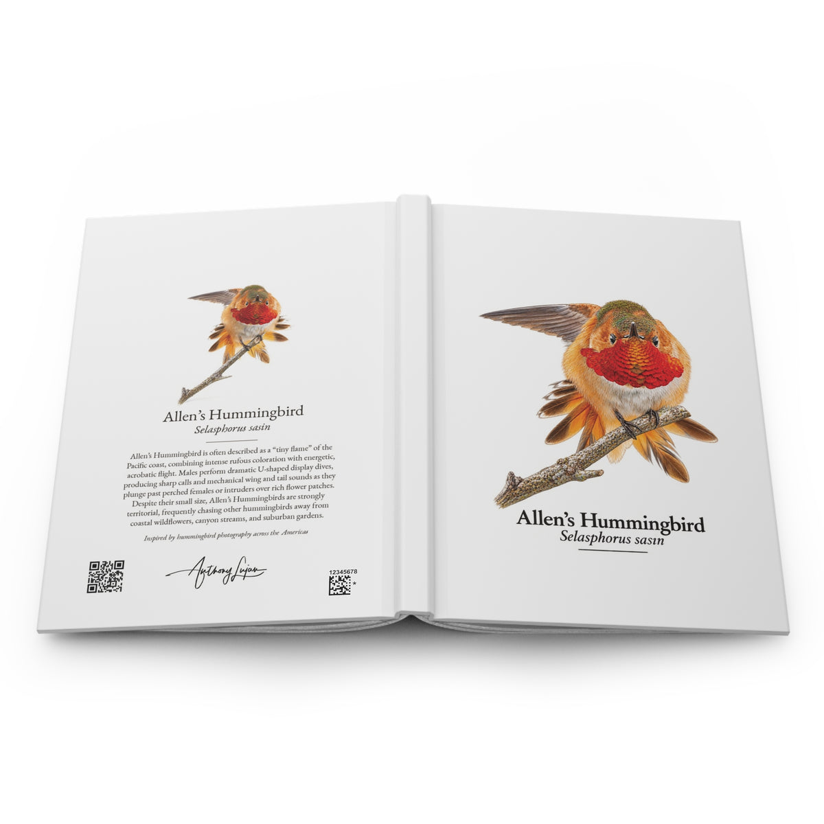 Allen's Hummingbird Hardcover Journal