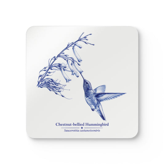 Chestnut-bellied Hummingbird Blue Delft Cork Coaster Set