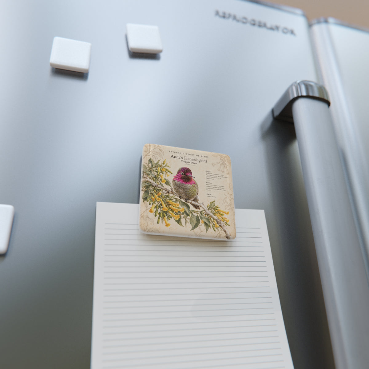 Anna's Hummingbird Porcelain Magnet