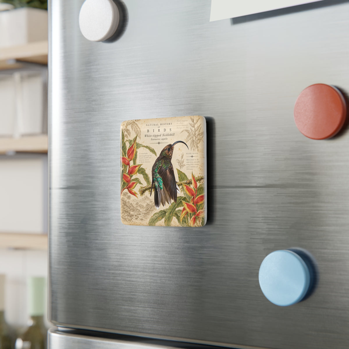 White-tipped Sicklebill Porcelain Tile Magnet