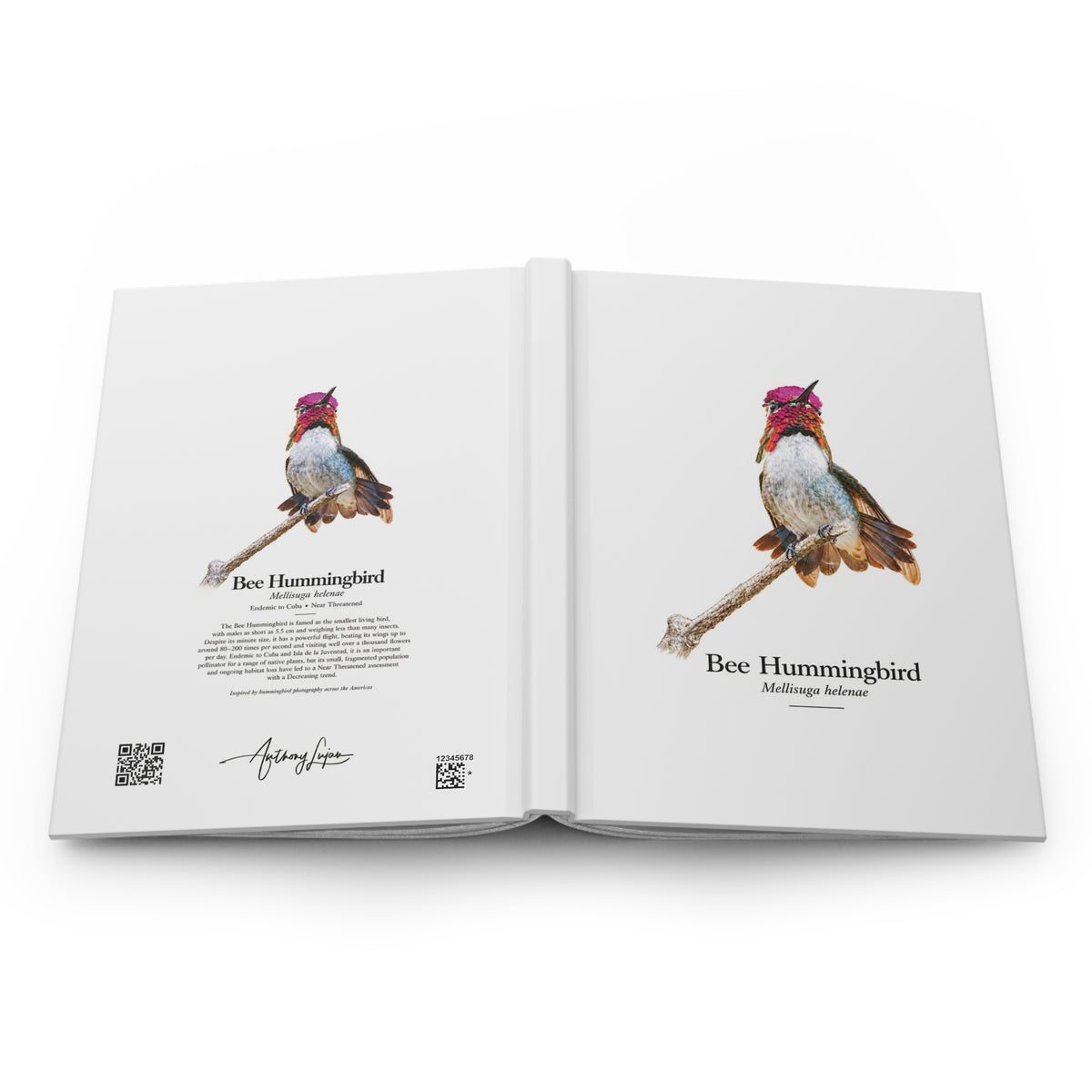 Bee Hummingbird Hardcover Journal