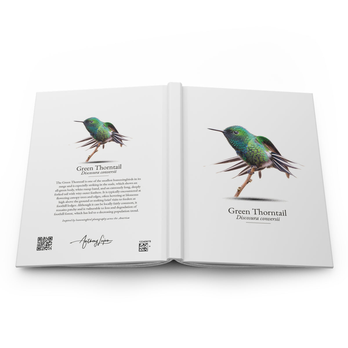 Green Thorntail Hardcover Journal