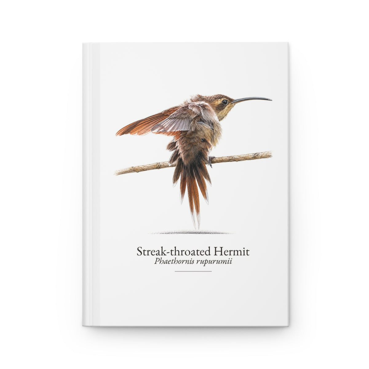 Streak-throated Hermit Hardcover Journal