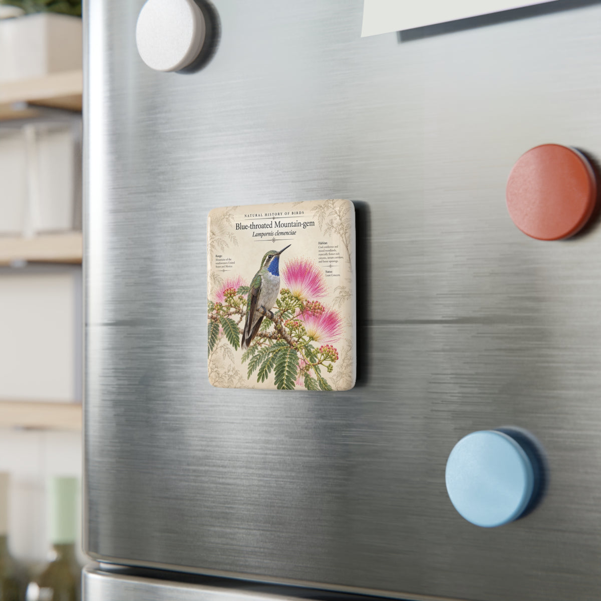 Blue-throated Mountain-gem Porcelain Magnet