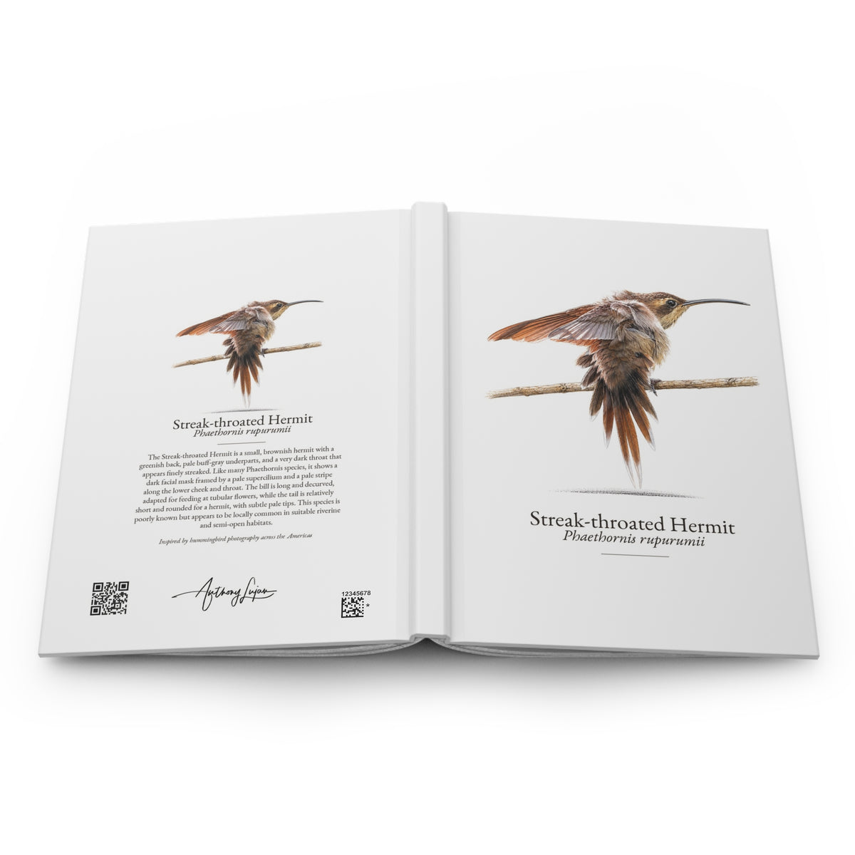 Streak-throated Hermit Hardcover Journal