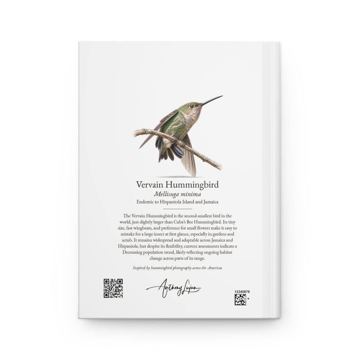 Vervain Hummingbird Hardcover Journal