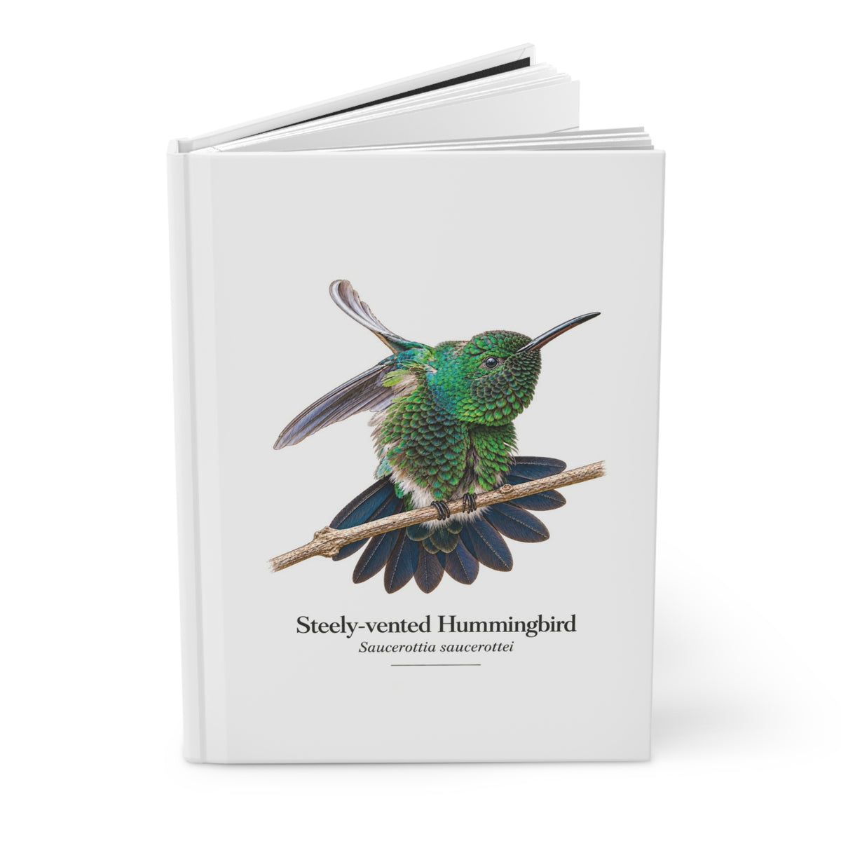 Steely-vented Hummingbird Hardcover Journal