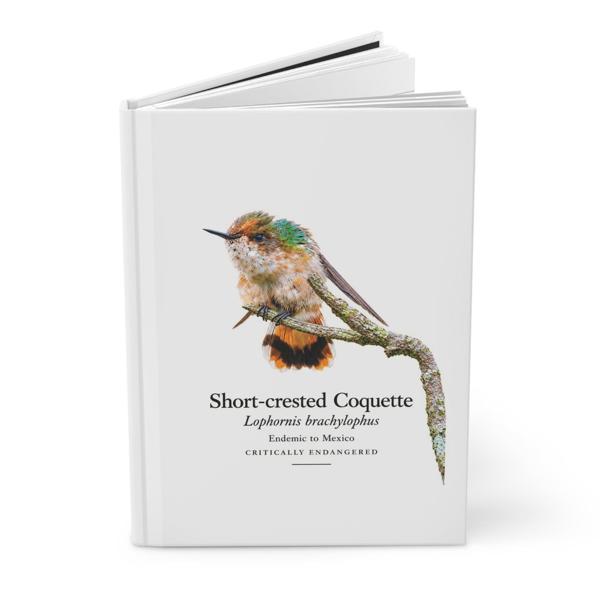 Short-crested Coquette Hardcover Journal