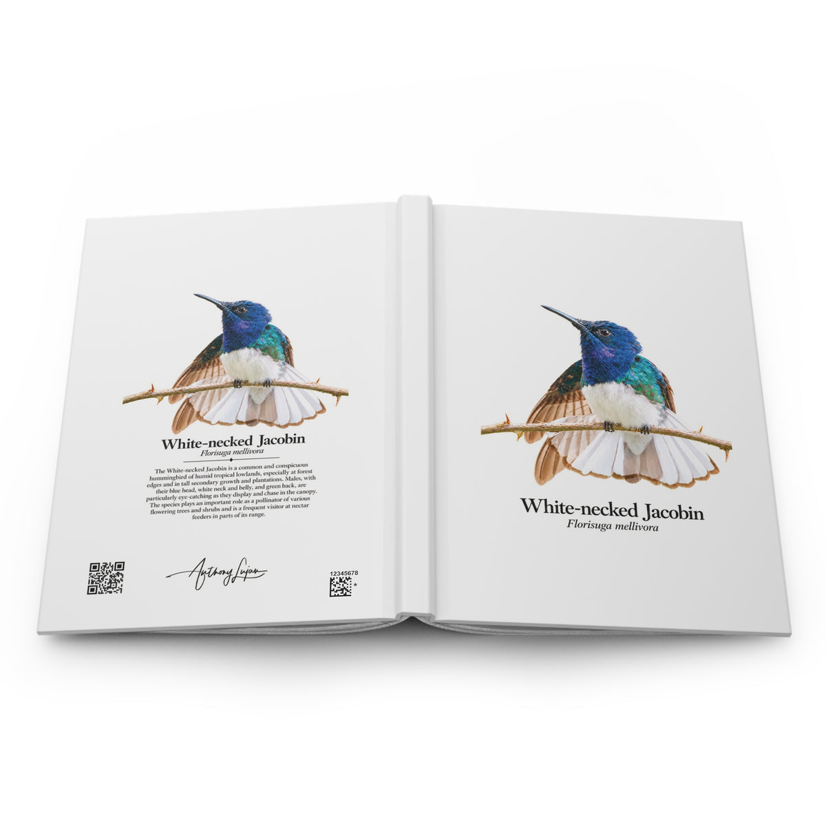 White-necked Jacobin Hardcover Journal