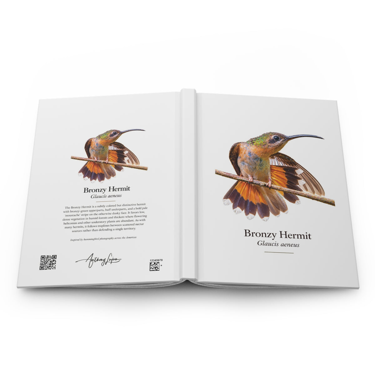 Bronzy Hermit Hardcover Journal