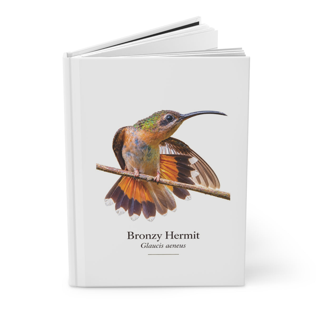 Bronzy Hermit Hardcover Journal