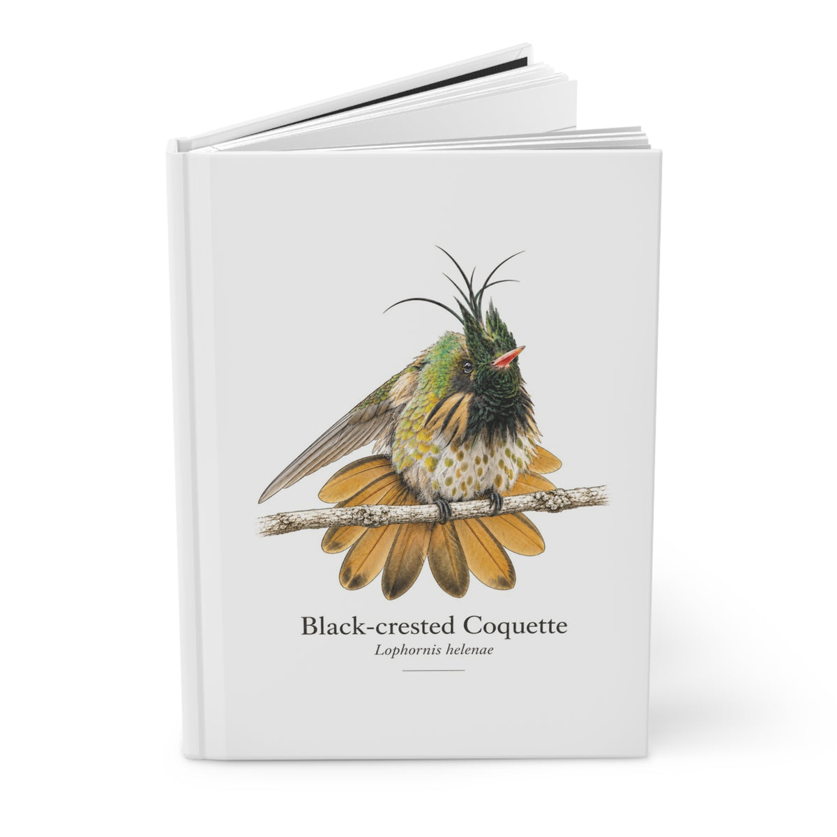 Black-crested Coquette Hardcover Journal