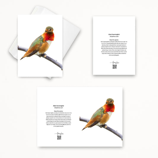 Allen’s Hummingbird 5x7 note card featuring Anthony Lujan photography