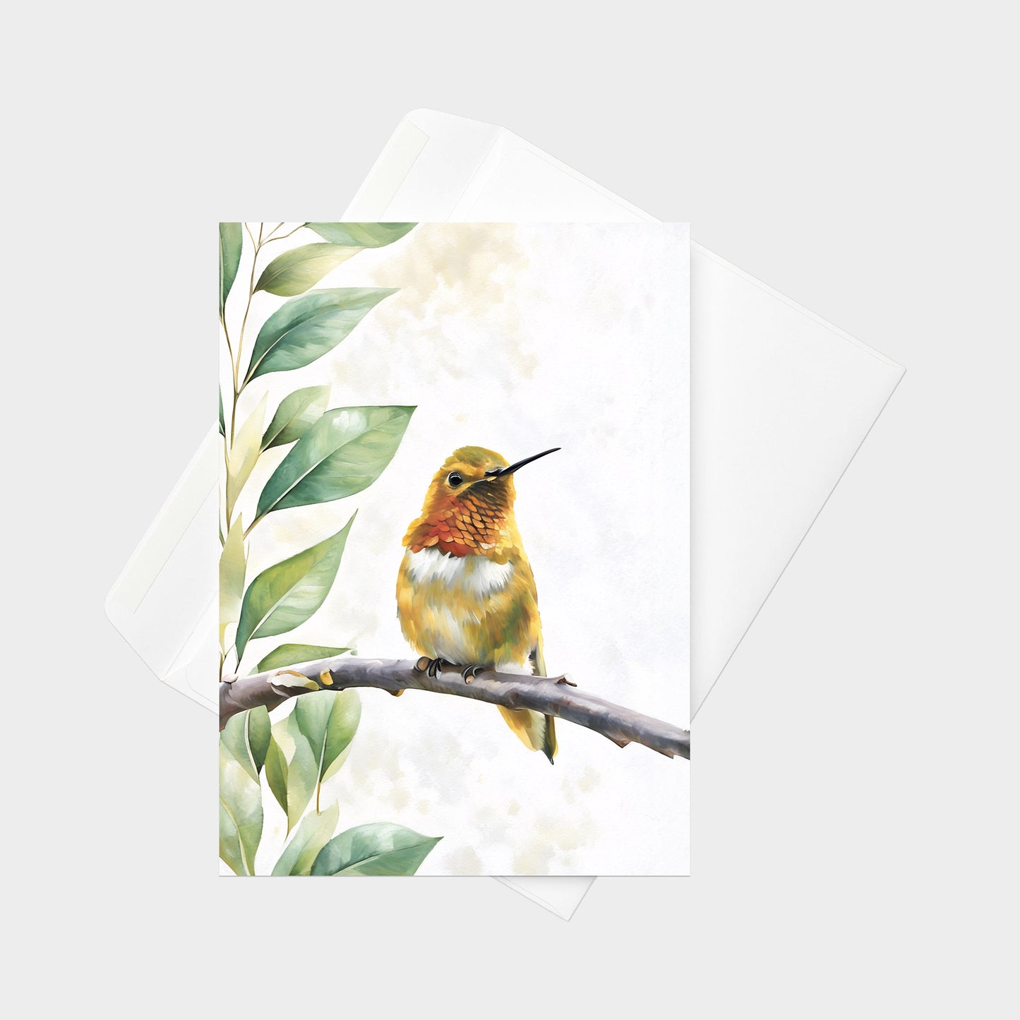 Allen's Hummingbird  | 5x7 Note Card