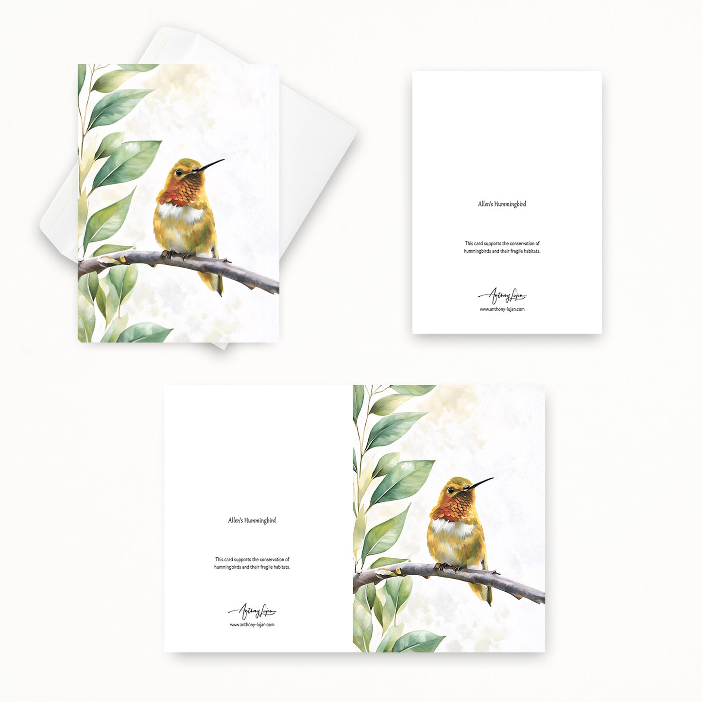 Allen's Hummingbird  | 5x7 Note Card