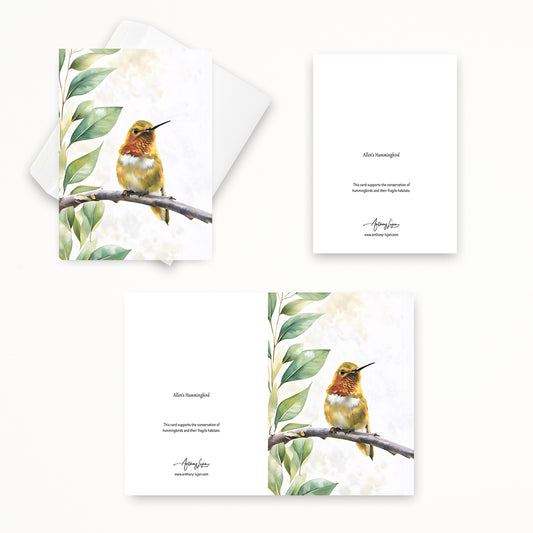 Allen's Hummingbird  | 5x7 Note Card