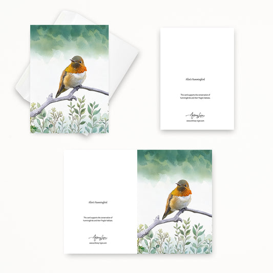 Allen's Hummingbird  | 5x7 Note Card