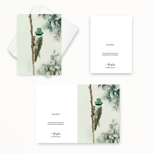 Andean Hillstar | 5x7 Note Card